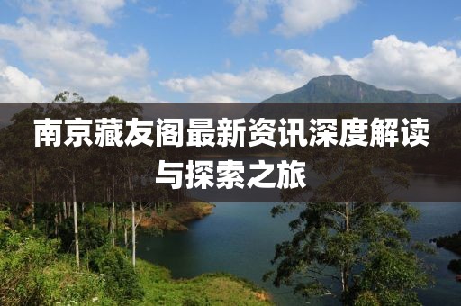 南京藏友阁最新资讯深度解读与探索之旅