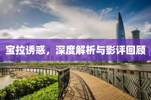 宝拉诱惑，深度解析与影评回顾