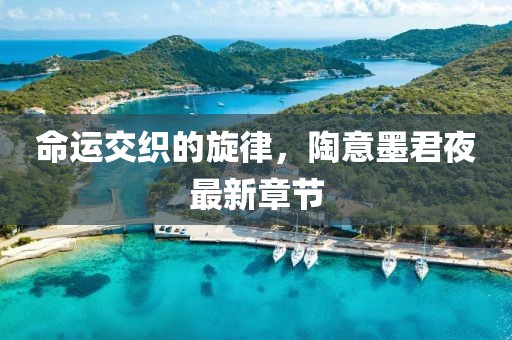命运交织的旋律，陶意墨君夜最新章节