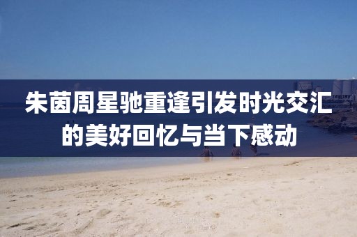 朱茵周星驰重逢引发时光交汇的美好回忆与当下感动