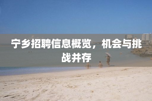 宁乡招聘信息概览，机会与挑战并存