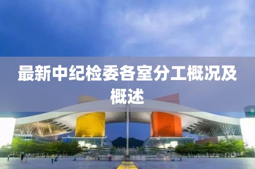 最新中纪检委各室分工概况及概述