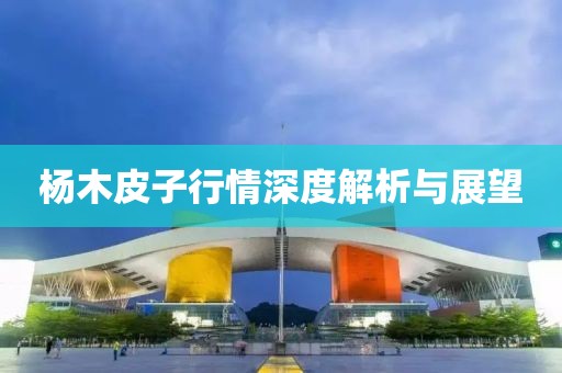 杨木皮子行情深度解析与展望