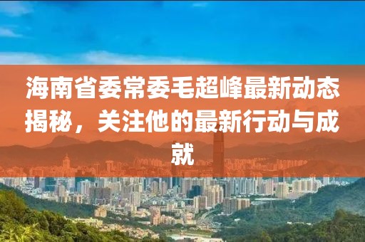海南省委常委毛超峰最新动态揭秘，关注他的最新行动与成就