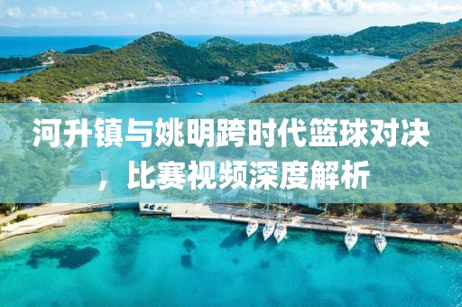 河升镇与姚明跨时代篮球对决，比赛视频深度解析
