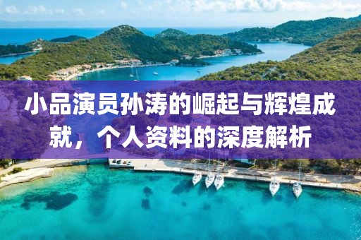 小品演员孙涛的崛起与辉煌成就，个人资料的深度解析