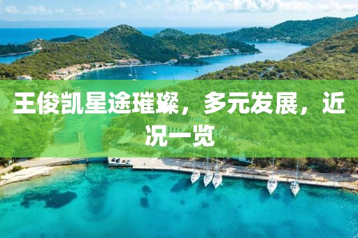 王俊凯星途璀璨，多元发展，近况一览