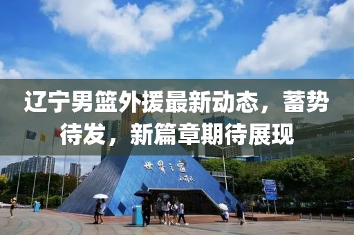 辽宁男篮外援最新动态，蓄势待发，新篇章期待展现