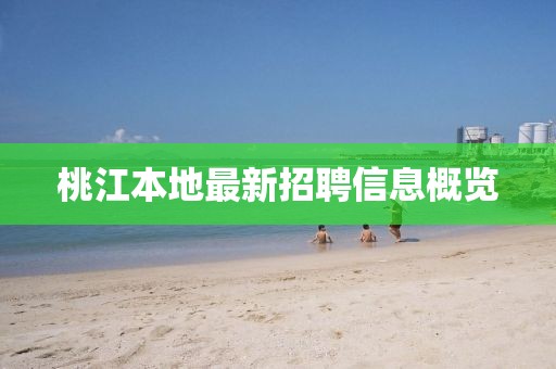 桃江本地最新招聘信息概览
