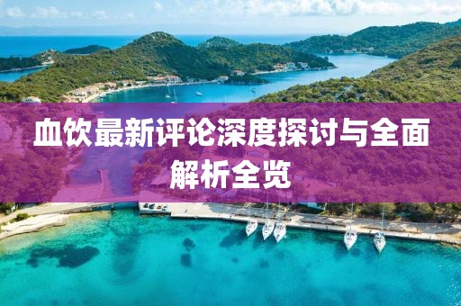 血饮最新评论深度探讨与全面解析全览