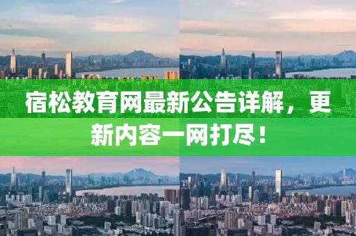 宿松教育网最新公告详解，更新内容一网打尽！