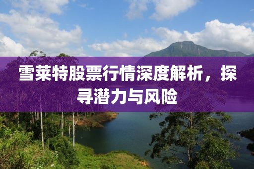 雪莱特股票行情深度解析，探寻潜力与风险