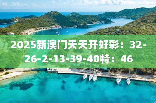 2025新澳门天天开好彩：32-26-2-13-39-40特：46