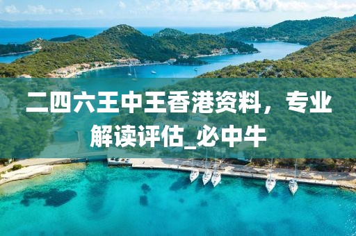 二四六王中王香港资料，专业解读评估_必中牛