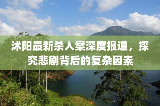 沭阳最新杀人案深度报道，探究悲剧背后的复杂因素
