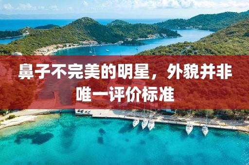 鼻子不完美的明星，外貌并非唯一评价标准