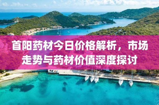 首阳药材今日价格解析，市场走势与药材价值深度探讨