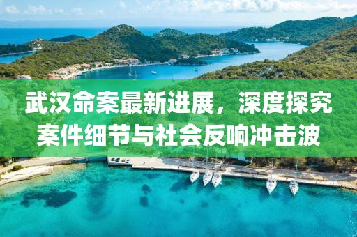 武汉命案最新进展，深度探究案件细节与社会反响冲击波