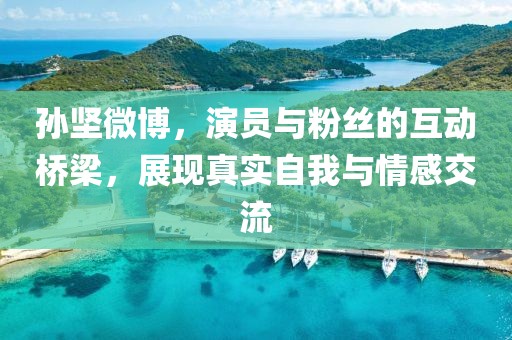 孙坚微博，演员与粉丝的互动桥梁，展现真实自我与情感交流