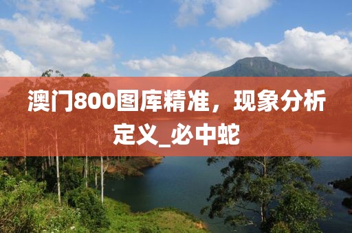 澳门800图库精准，现象分析定义_必中蛇