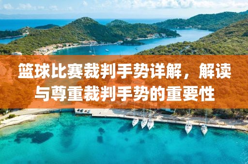 篮球比赛裁判手势详解，解读与尊重裁判手势的重要性