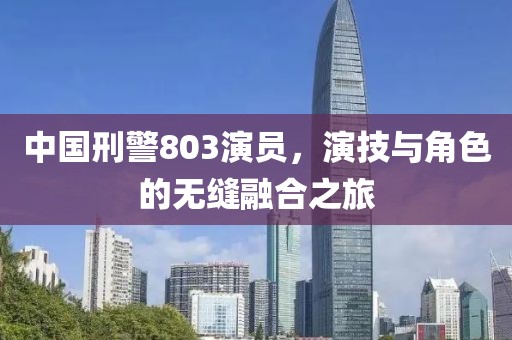 中国刑警803演员，演技与角色的无缝融合之旅