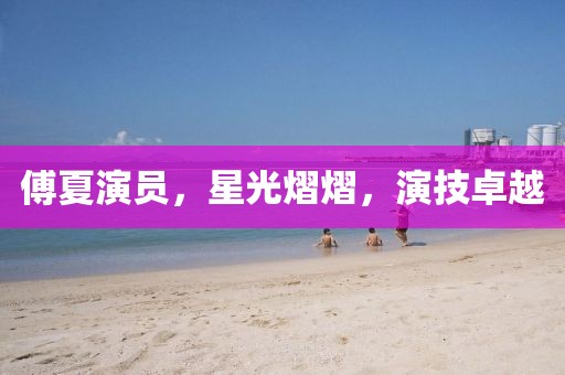 傅夏演员，星光熠熠，演技卓越