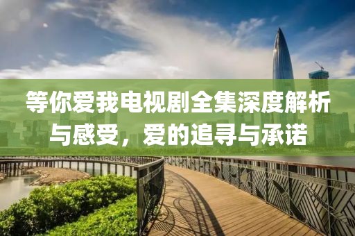 等你爱我电视剧全集深度解析与感受，爱的追寻与承诺