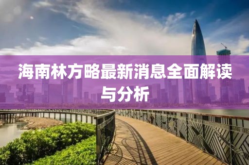 海南林方略最新消息全面解读与分析