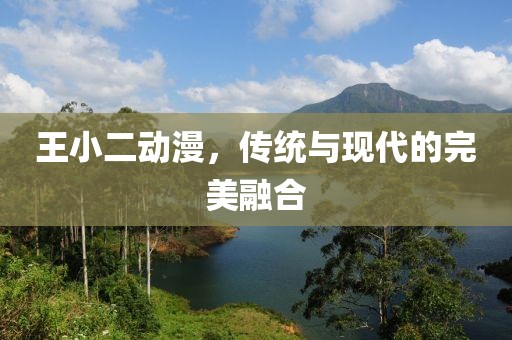 王小二动漫，传统与现代的完美融合