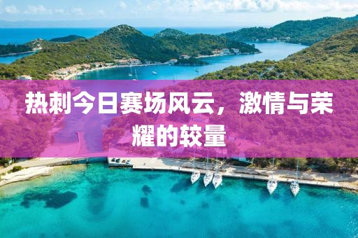 热刺今日赛场风云，激情与荣耀的较量