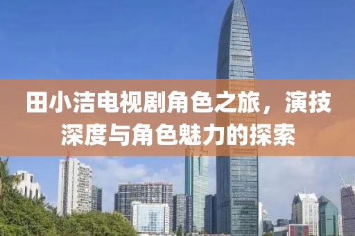 田小洁电视剧角色之旅，演技深度与角色魅力的探索