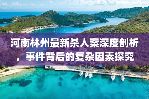 河南林州最新杀人案深度剖析，事件背后的复杂因素探究