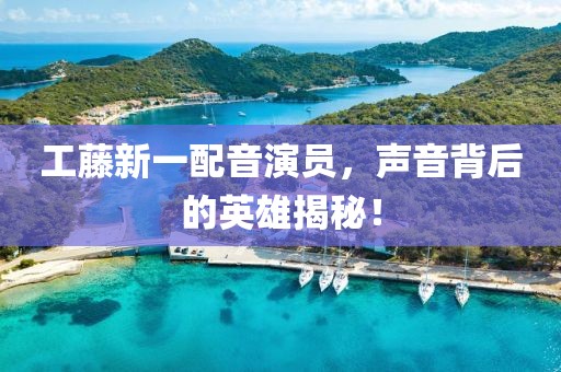 工藤新一配音演员，声音背后的英雄揭秘！