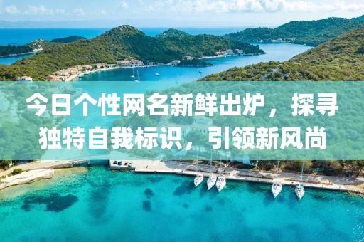 今日个性网名新鲜出炉，探寻独特自我标识，引领新风尚