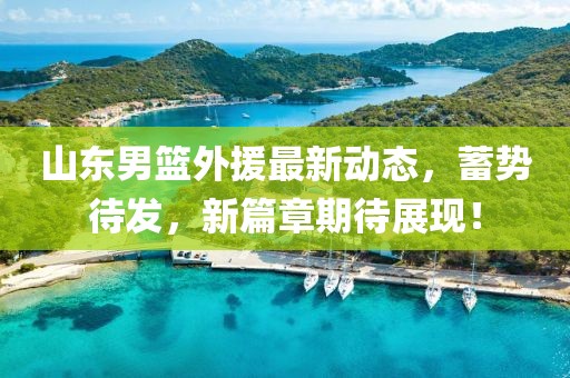 山东男篮外援最新动态，蓄势待发，新篇章期待展现！