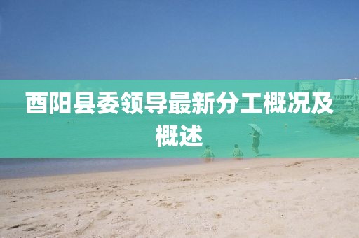酉阳县委领导最新分工概况及概述