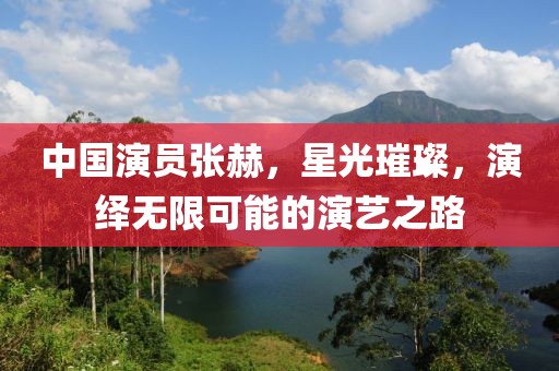 中国演员张赫，星光璀璨，演绎无限可能的演艺之路