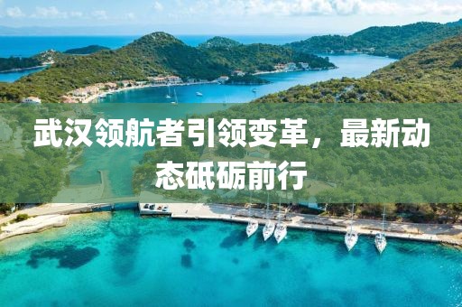 武汉领航者引领变革，最新动态砥砺前行