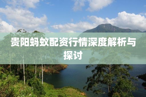 贵阳蚂蚁配资行情深度解析与探讨
