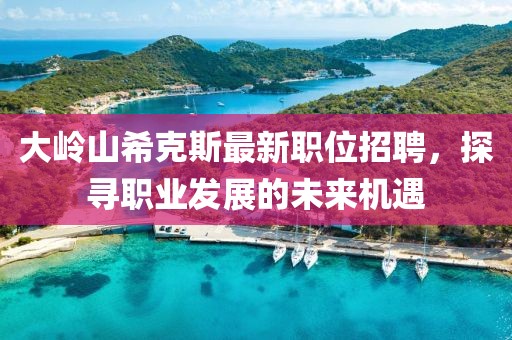 大岭山希克斯最新职位招聘，探寻职业发展的未来机遇