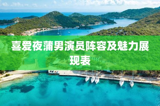 喜爱夜蒲男演员阵容及魅力展现表