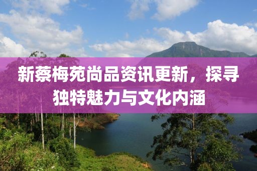新蔡梅苑尚品资讯更新，探寻独特魅力与文化内涵