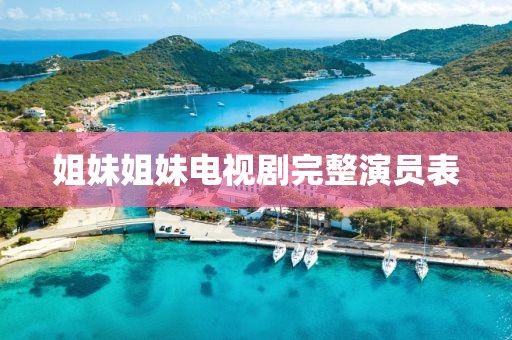 姐妹姐妹电视剧完整演员表