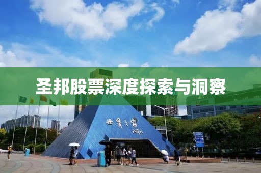 圣邦股票深度探索与洞察