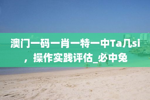 澳门一码一肖一特一中Ta几si，操作实践评估_必中兔