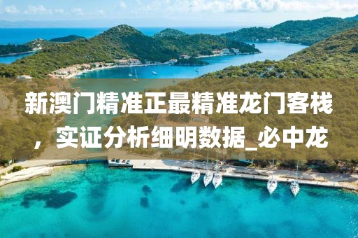 新澳门精准正最精准龙门客栈，实证分析细明数据_必中龙