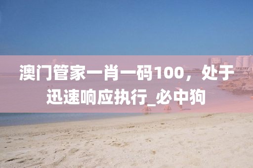 澳门管家一肖一码100，处于迅速响应执行_必中狗