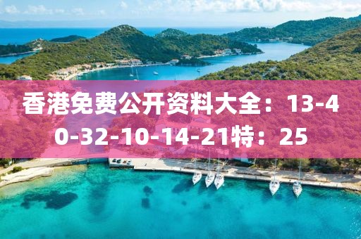 香港免费公开资料大全：13-40-32-10-14-21特：25