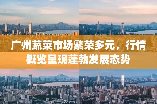 广州蔬菜市场繁荣多元，行情概览呈现蓬勃发展态势